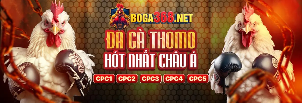 Đá Gà Trực Tuyến Hấp Dẫn tại vuabai99