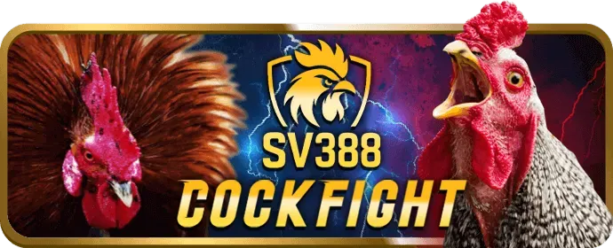 Tổng quan các mẹo và chiến lược chơi slot game hiệu quả tại vuabai99